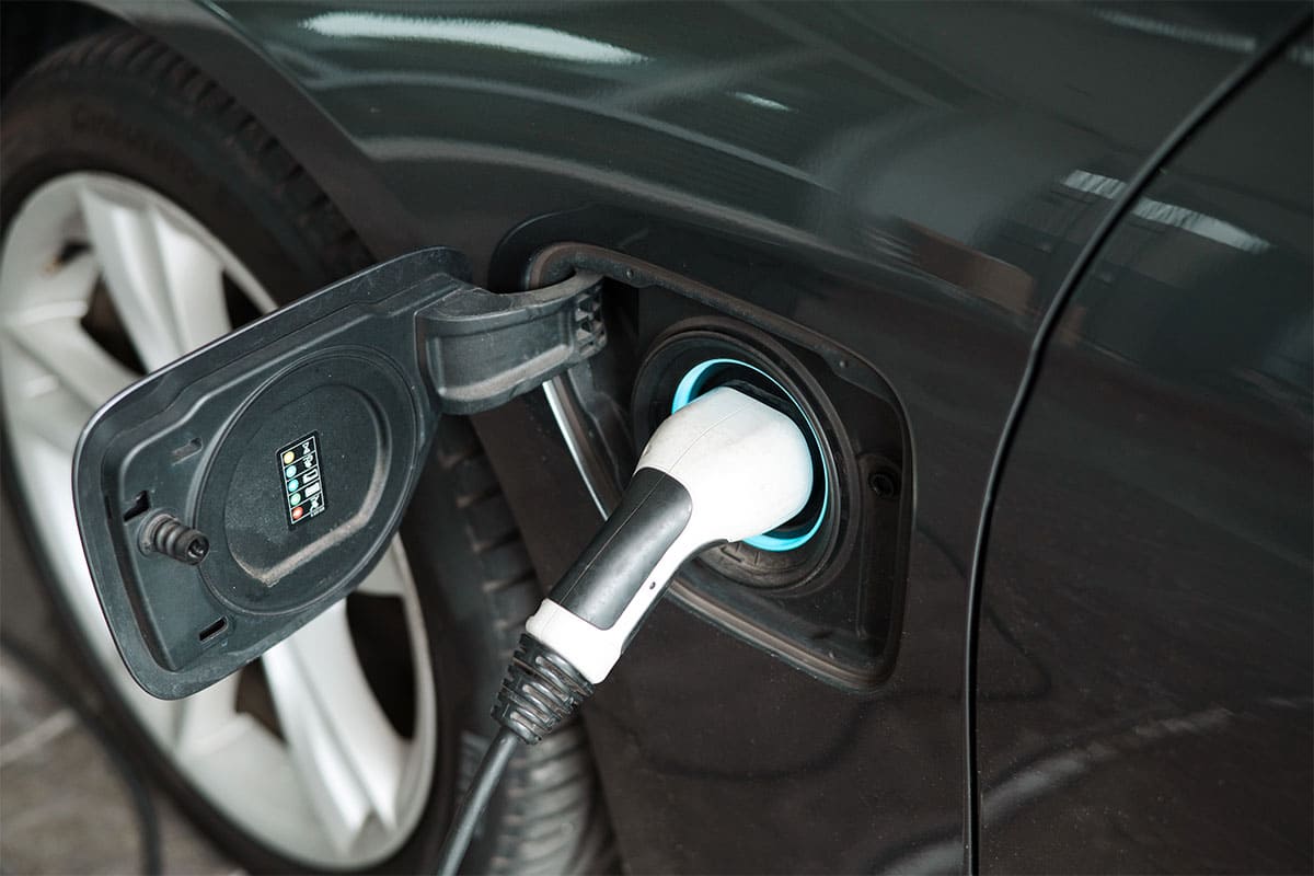 전기차, 엇갈리는 전망, 전기차 시장의 미래