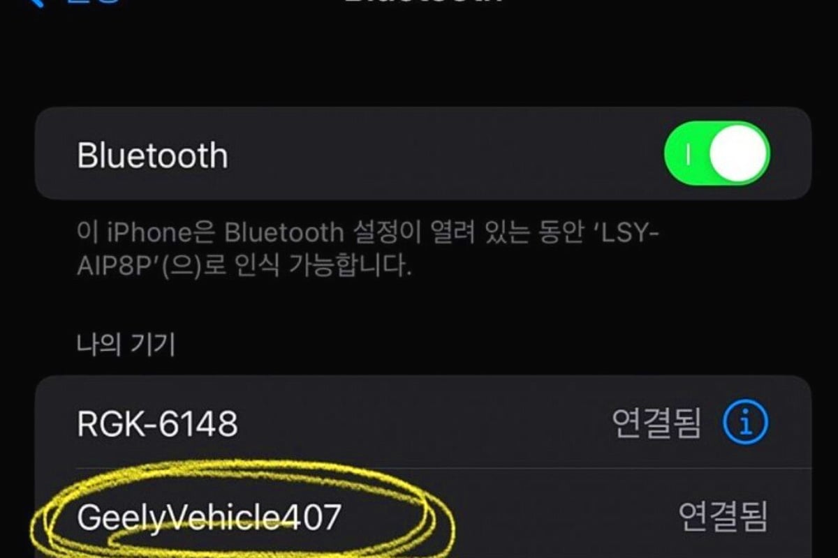 그랑 콜레오스 블루투스 표기
