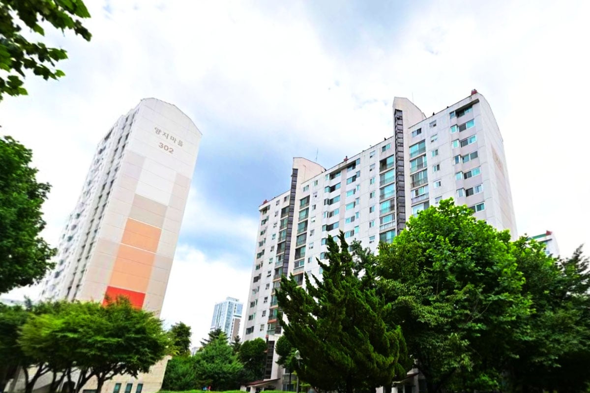 분당구 수내동 양지마을 3단지 금호아파트