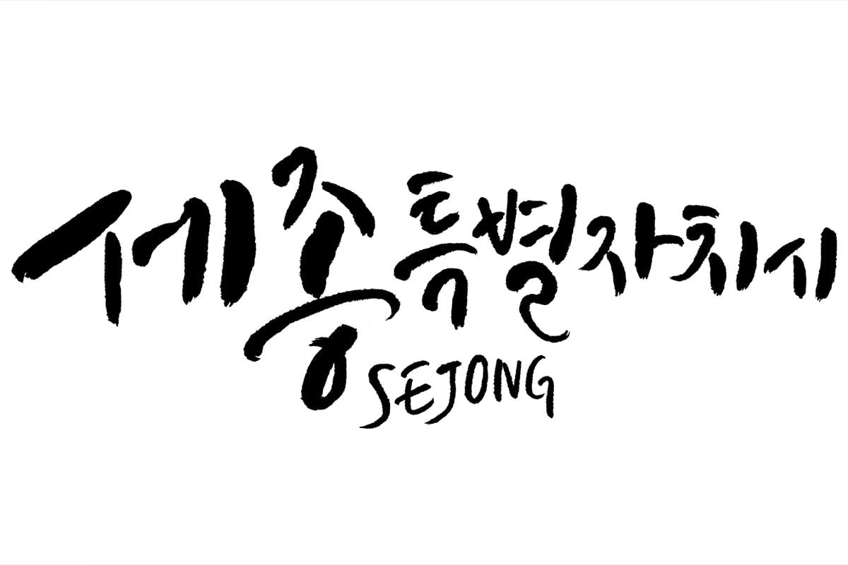 세종특별자치시