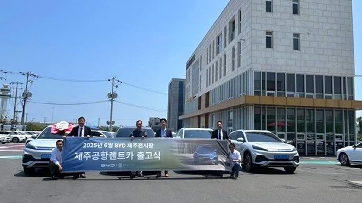 BYD 제주도 렌트카 시장 진입