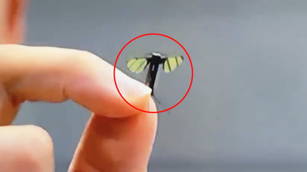 “중국, 제대로 사고 쳤다”…모기 크기의 ‘비행 로봇’ 개발 성공