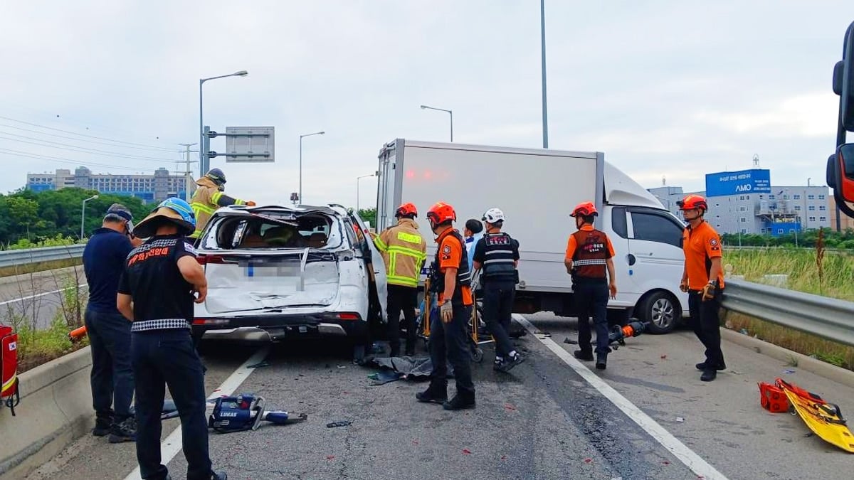 외국인 교통법규 위반 급증