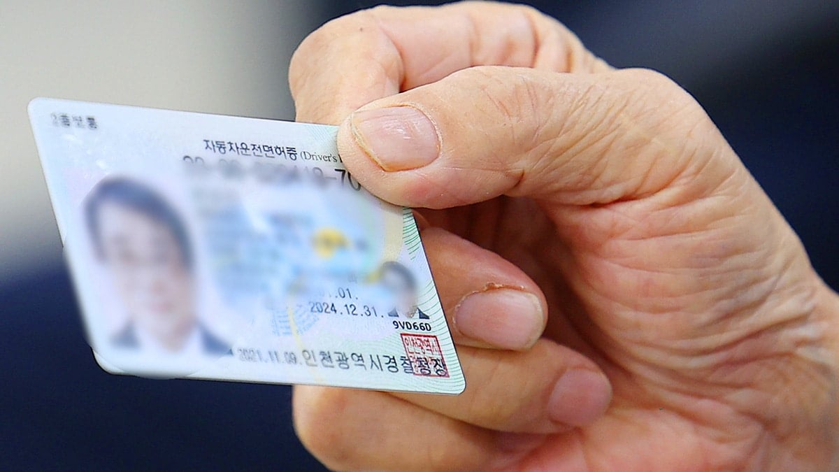 운전면허 갱신 대상 490만 명 운전면허 갱신 대상 490만 명