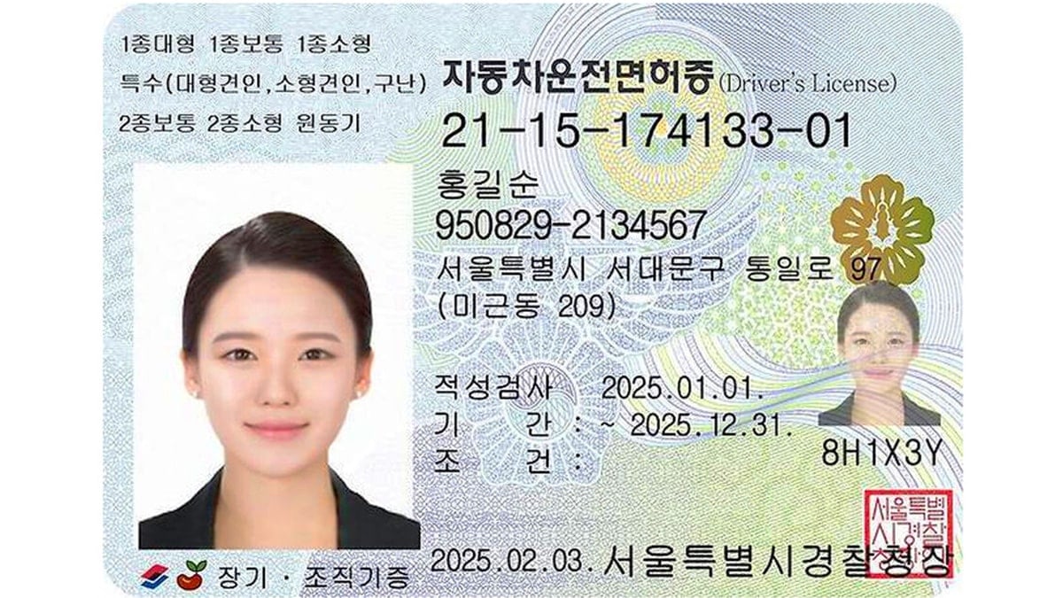 운전면허 갱신 대상 490만 명 운전면허 갱신 대상 490만 명