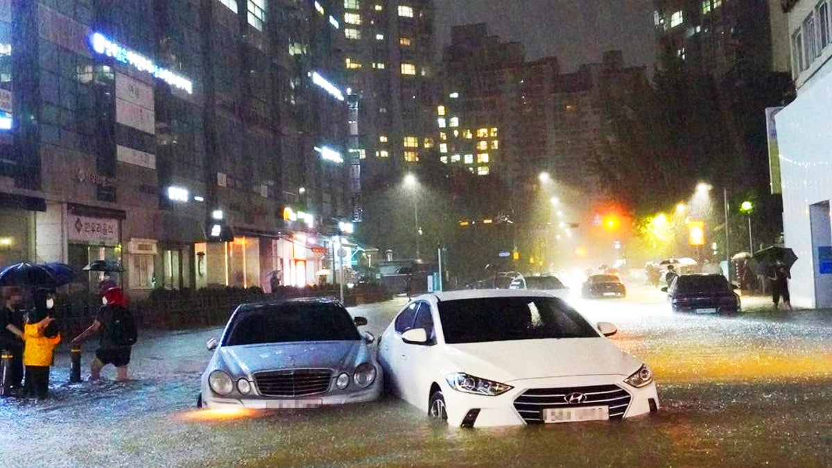 침수 피해 자동차 예시