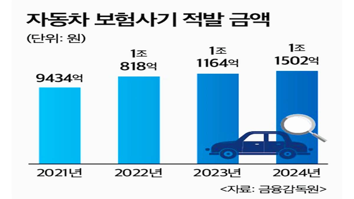 연도별 자동차 보험사기 적발 금액