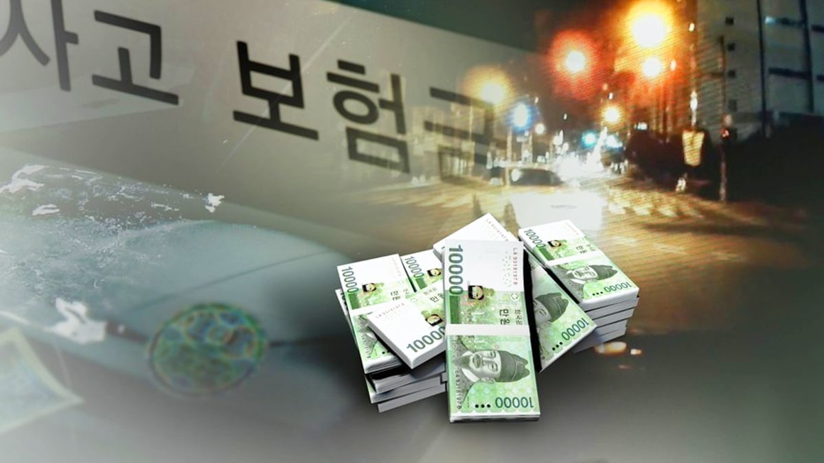 자동차 보험 사기