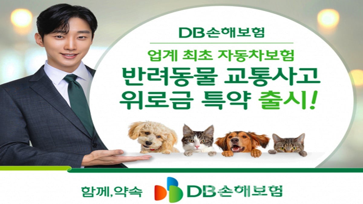 DB손해보험 '반려동물 교통사고 위로금 특약'