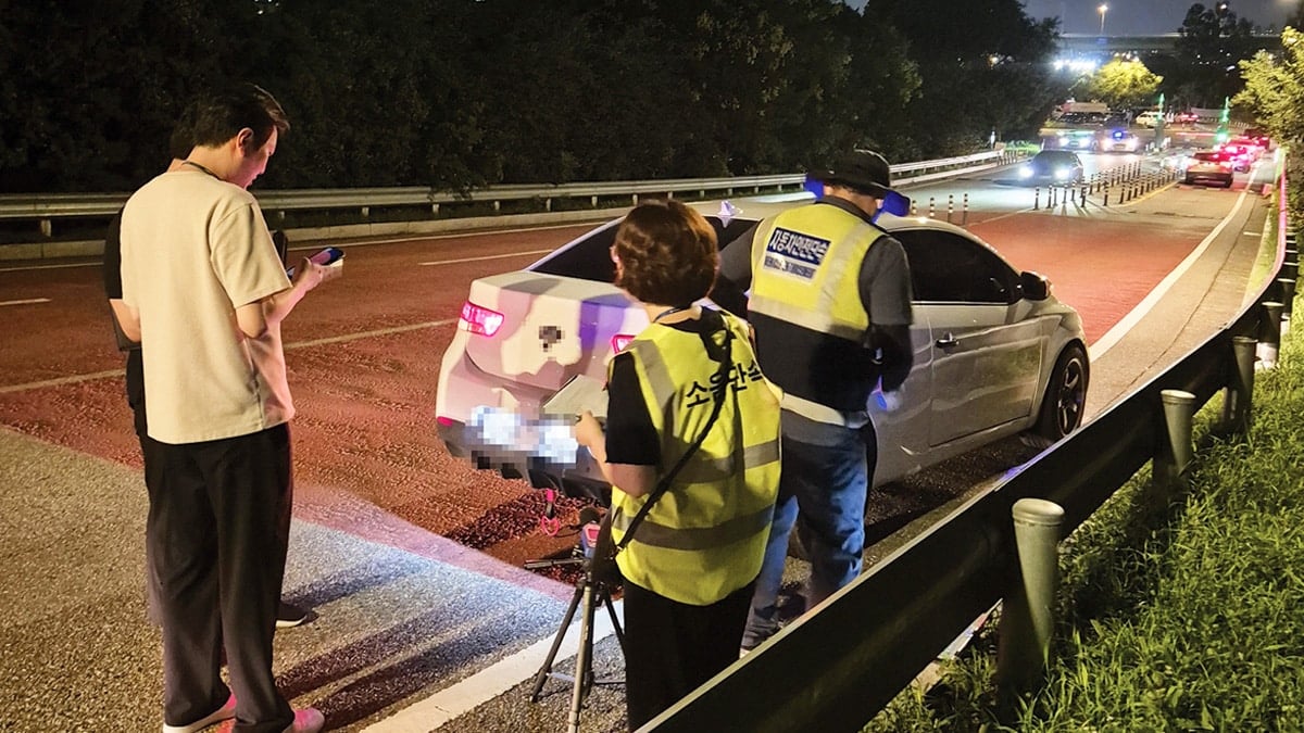 “제발 과태료 좀 올려주세요”… 운전자들도 잡아달라 난리라는 ‘이것’, 대체 무슨 일