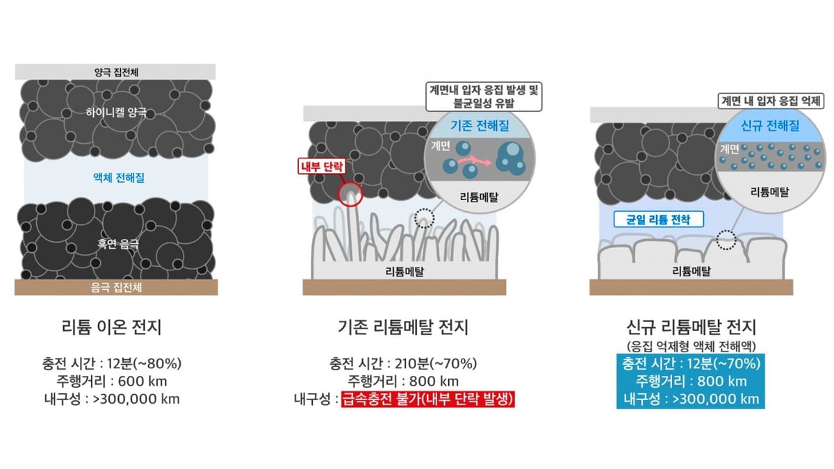 LG에너지솔루션-KAIST FRL 연구팀의 신규 리튬메탈전지 기술 LG에너지솔루션-KAIST FRL 연구팀의 신규 리튬메탈전지 기술