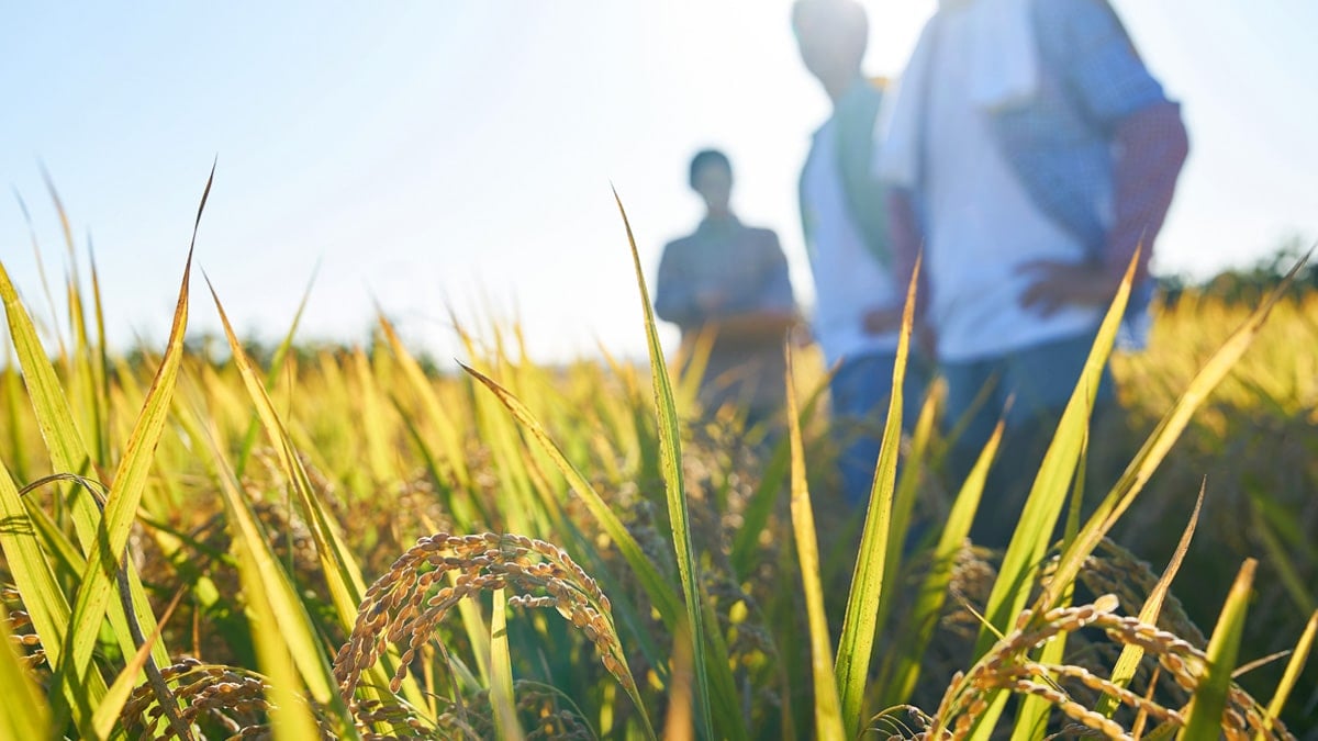“농촌에 20조 쏟아붓는다”… 李 정부의 파격적인 발표에 시민들은 ‘갑론을박’
