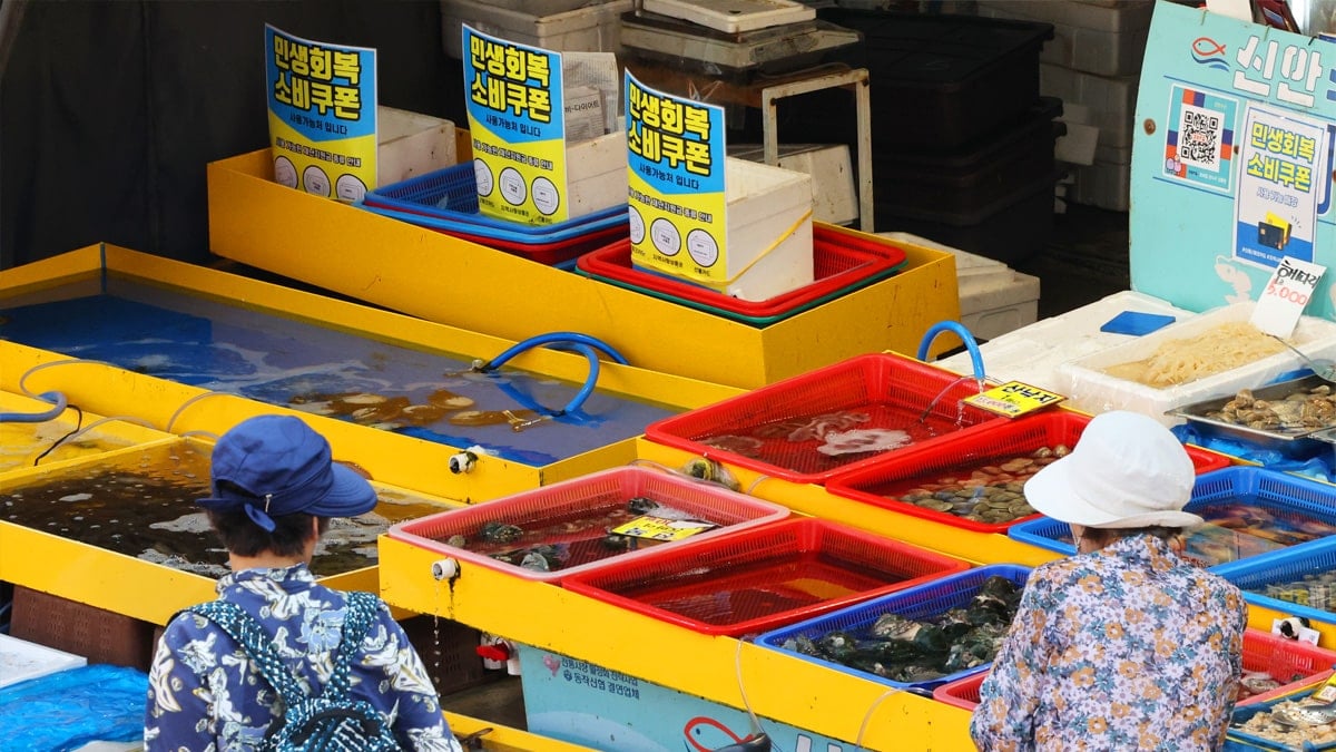 정부의 2차 민생회복 소비쿠폰 지급 정부의 2차 민생회복 소비쿠폰 지급