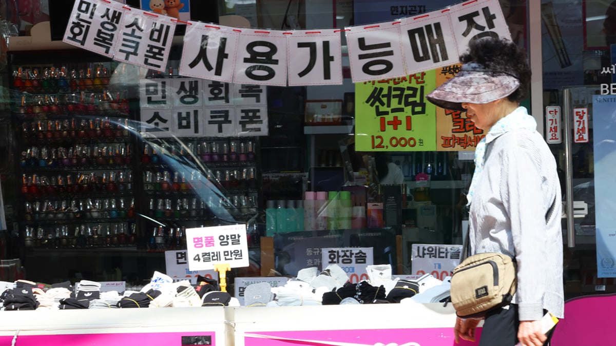 정부의 2차 민생회복 소비쿠폰 지급 정부의 2차 민생회복 소비쿠폰 지급