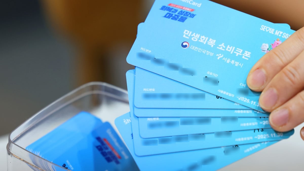 민생회복 소비쿠폰