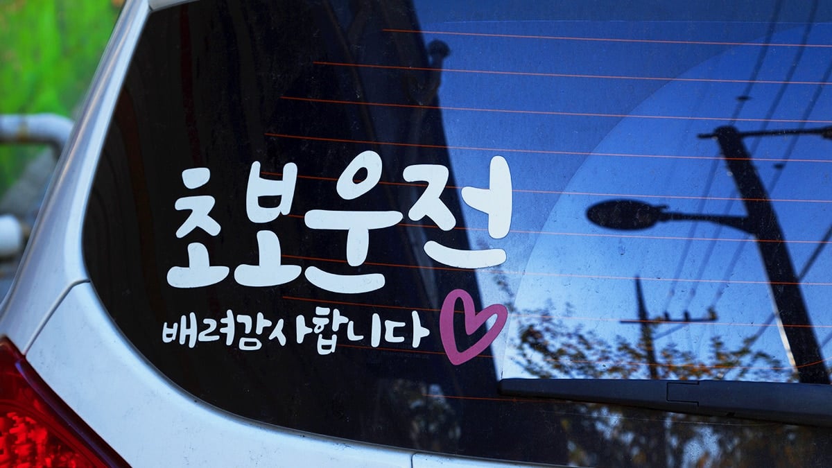 초보운전 스티커 문구 초보운전 스티커 문구