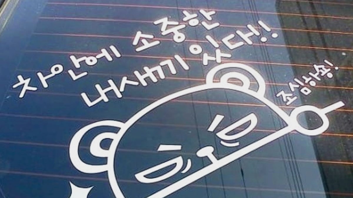 차량 스티커 차량 스티커