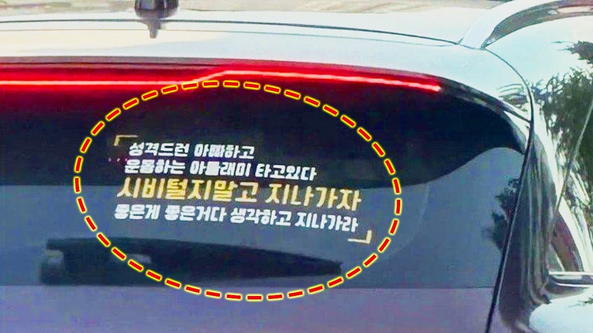 논란이 된 자동차 차량 스티커 문구 논란이 된 자동차 차량 스티커 문구