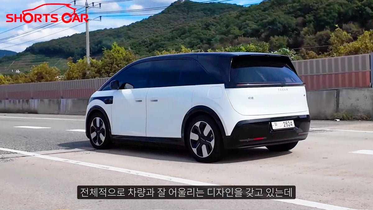 국내서 포착된 지커 믹스