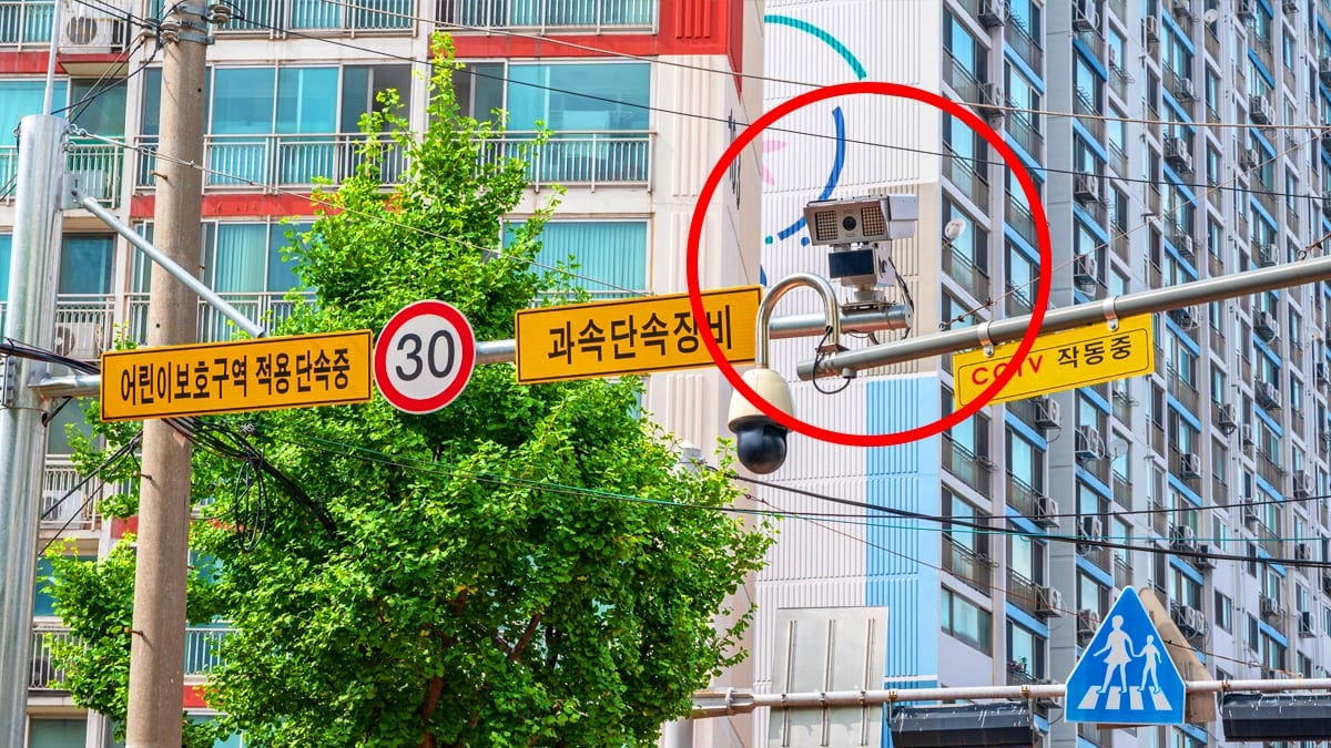 “이제 AI로 다 잡는다”… 12월부터 실시간으로 과태료 ‘5만 원’ 부과