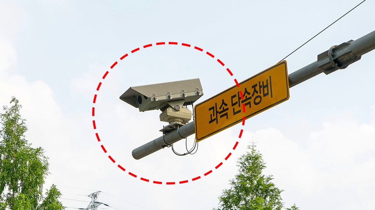 “운전자 90%가 속았다”… 단속 피한다는 ‘이 행동’, 알고 보니 과태료 폭탄