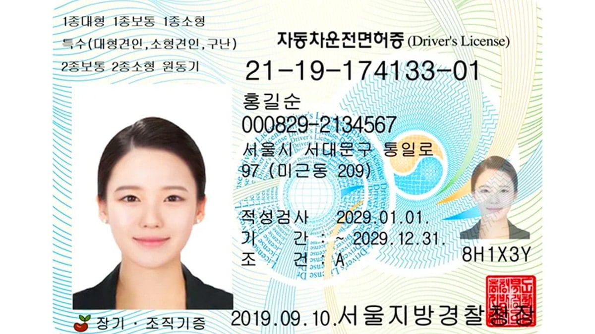 운전면허증 예시