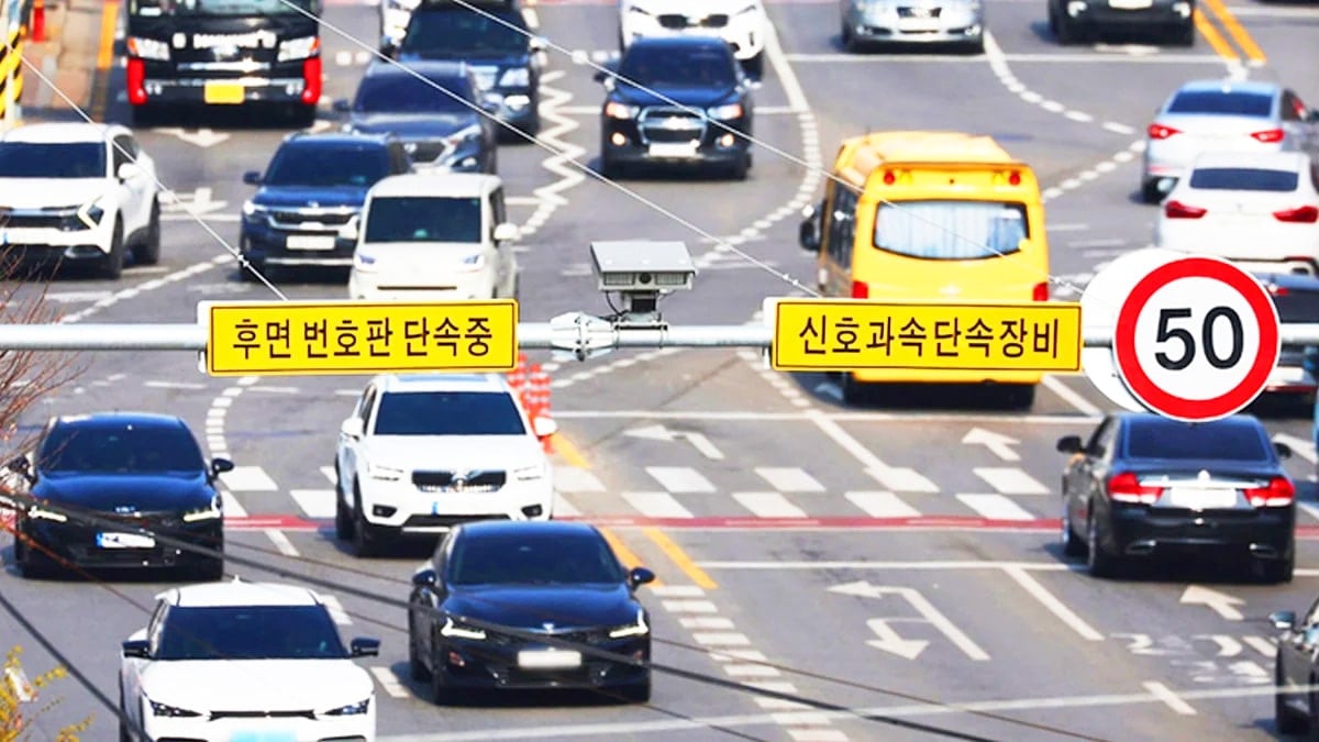 후면 단속 카메라