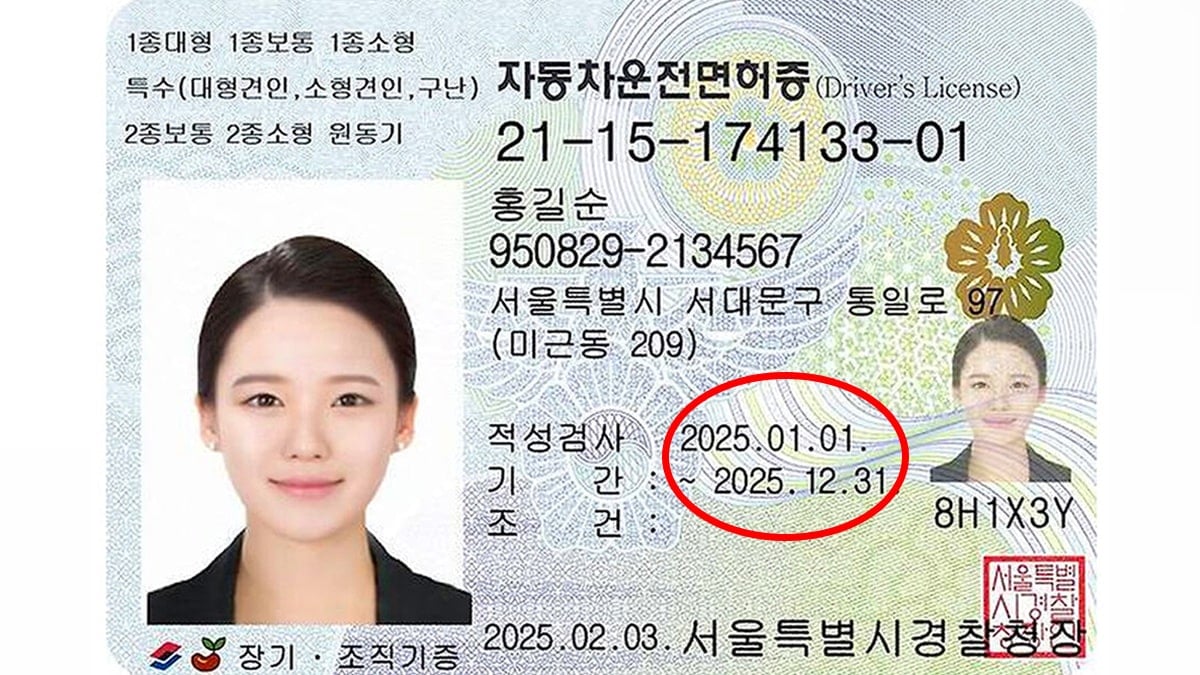 운전면허증 예시