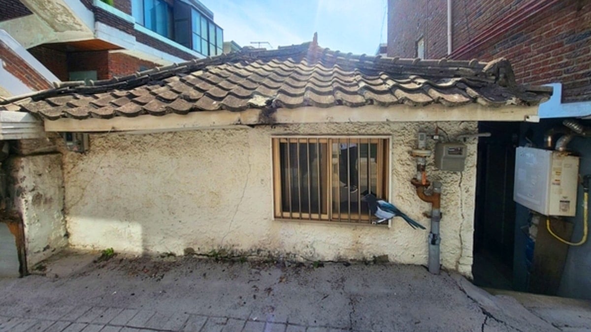 인구감소관심지역 지정