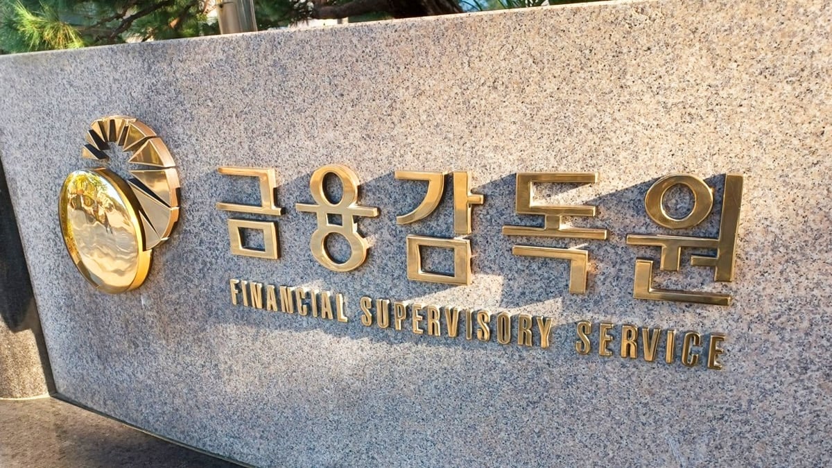 금융감독원