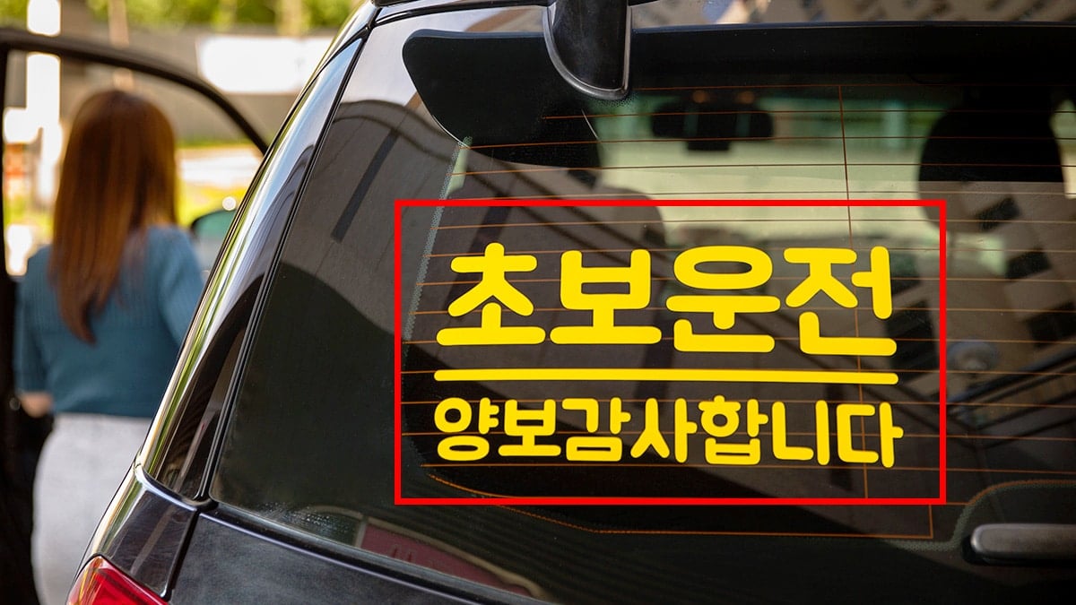 초보 운전자 도로 연수, 이제는 집 앞에서 가능