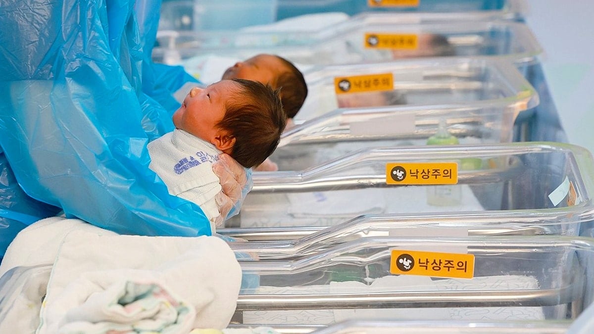 출산율 16개월 연속 증가