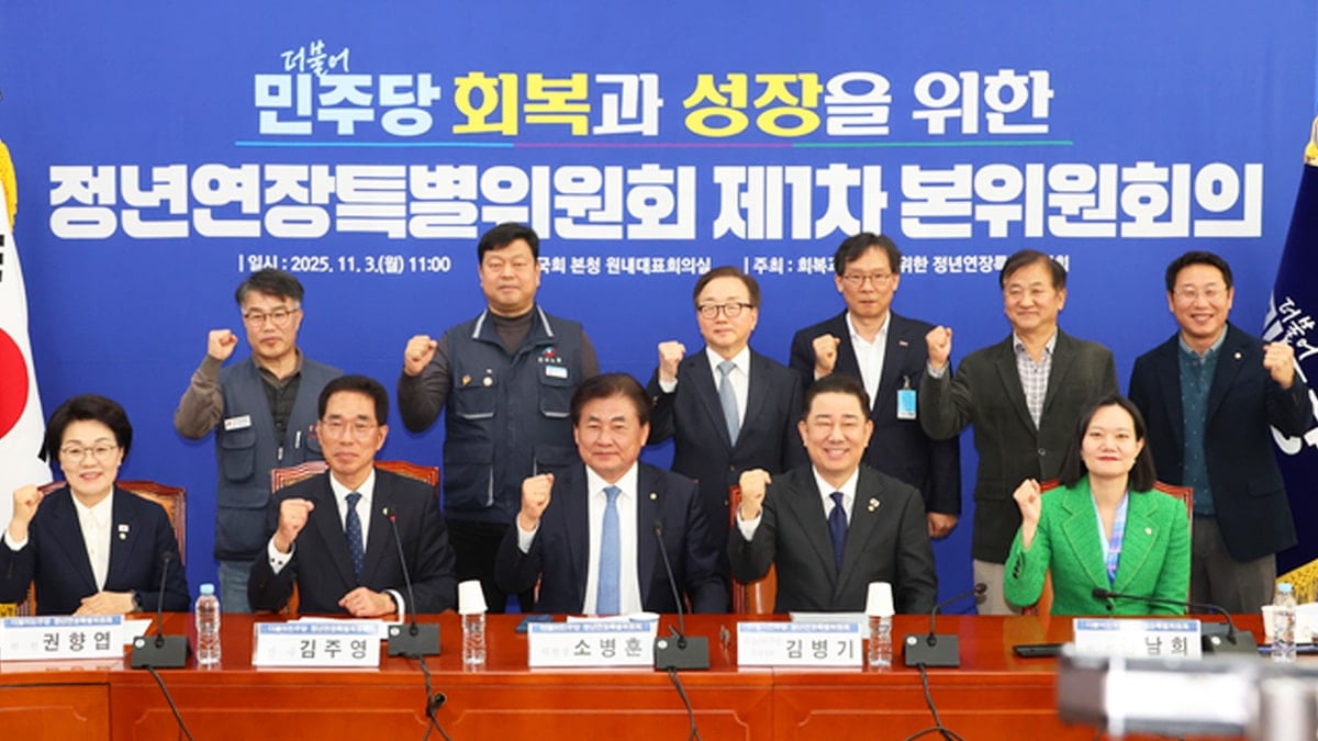 더불어민주당 정년연장특별위원회