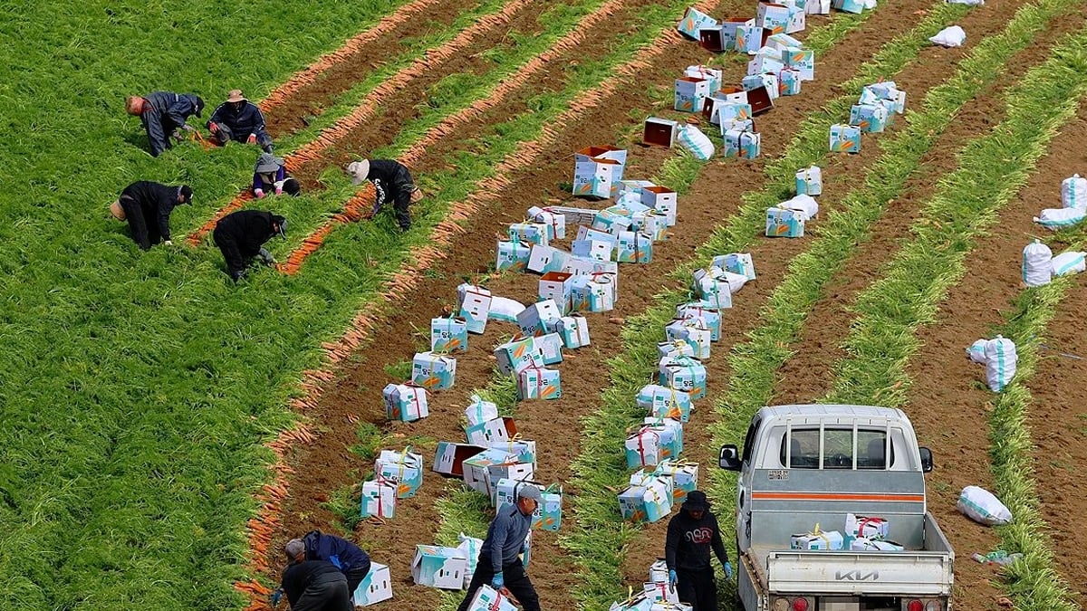 외국인 노동자의 모습