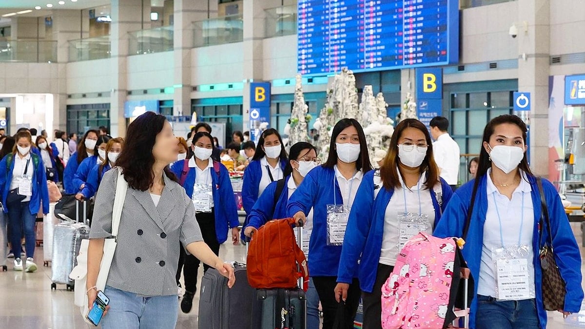 외국인 취업자 증가