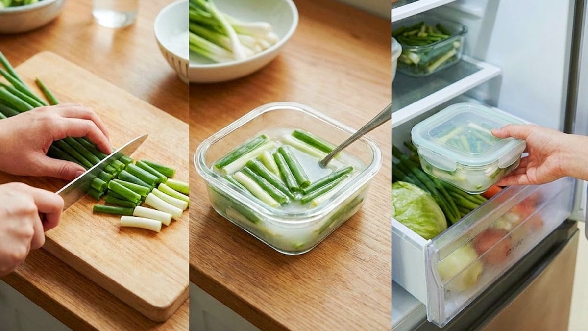 대파 염장 보관