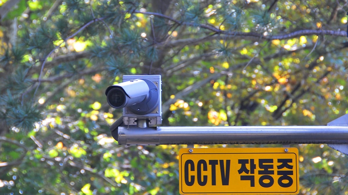 후면 단속 카메라 예시