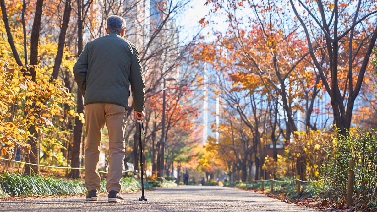 이해를 돕기 위한 이미지