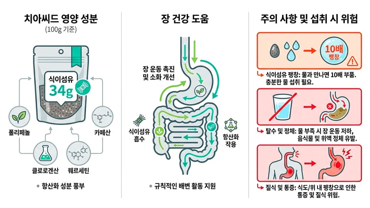 치아시드의 식이섬유가 장을 막는 이유
