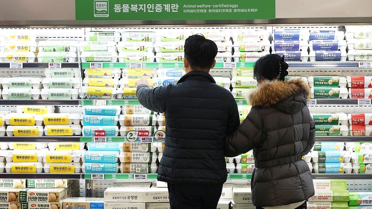 대형마트에 계란이 진열된 모습