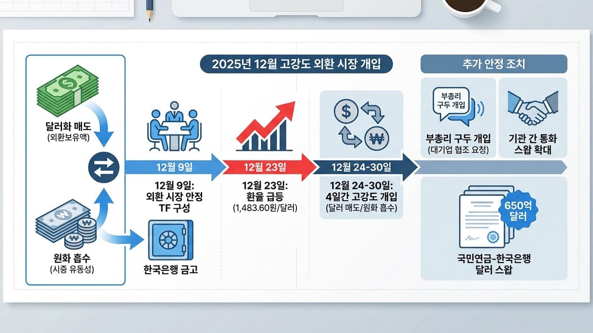 고강도 외환 시장 개입