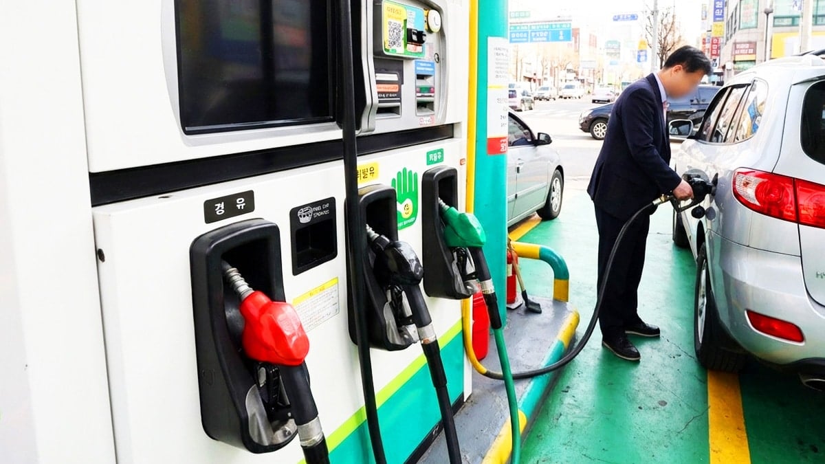 “요즘 아빠들 사이에서 논쟁거리”… 신규 자동차 등록 169만 대 중 절반이 ‘이 연료’