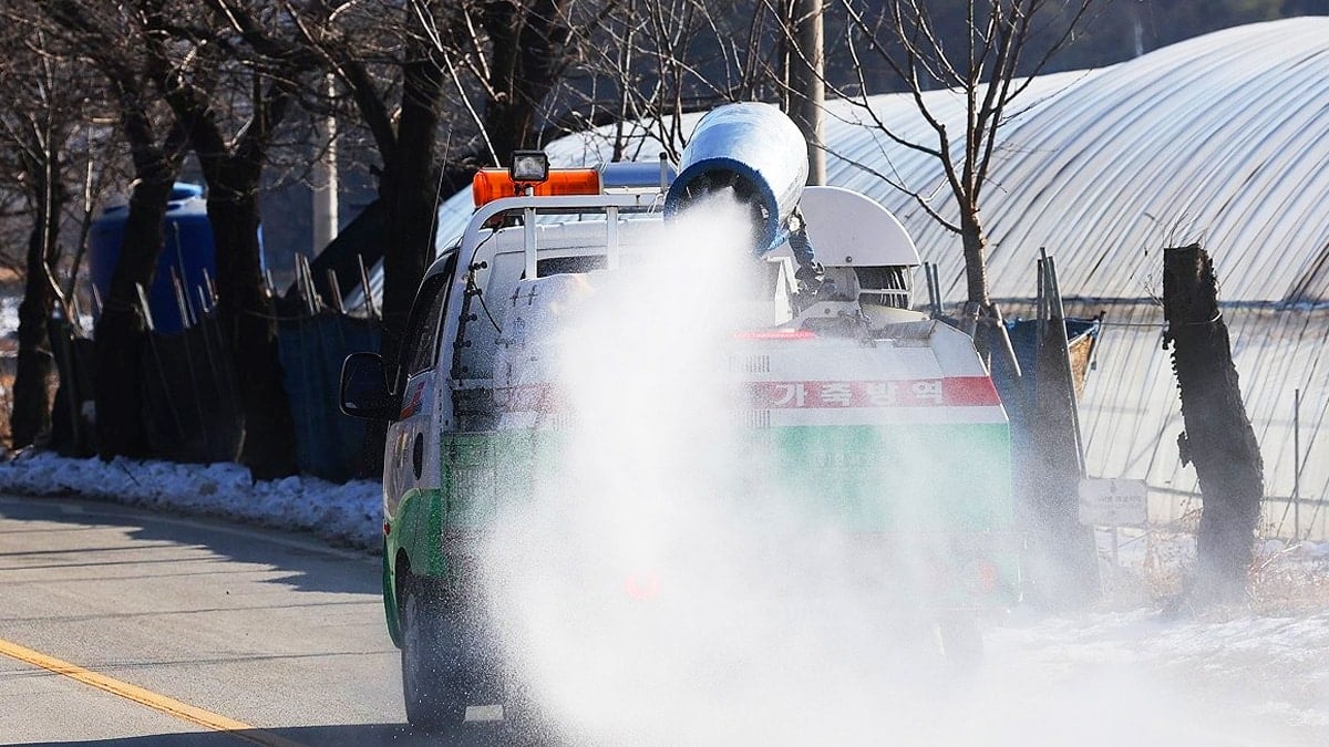 조류인플루엔자 방역