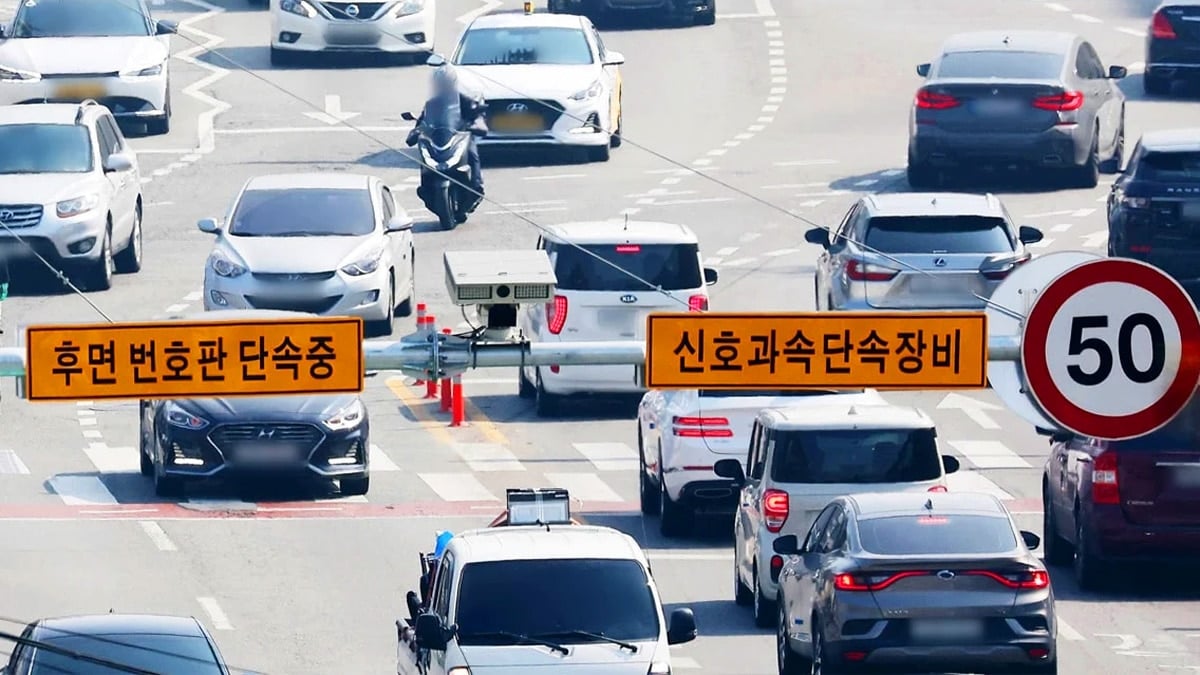 교차로 후면 단속 카메라