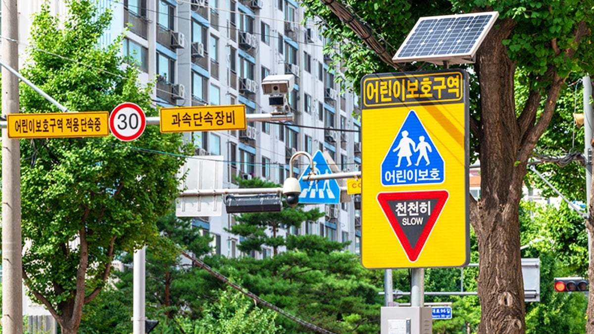 어린이보호구역 단속