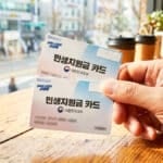 민생지원금 카드