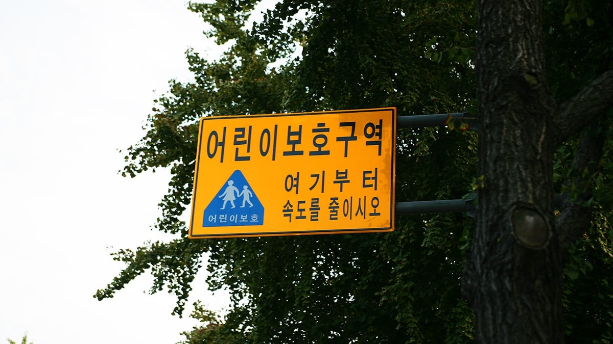 어린이보호구역 어린이보호구역