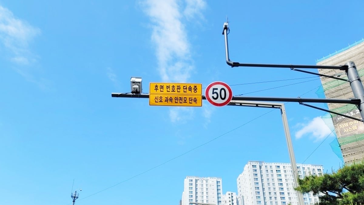 후면 단속카메라