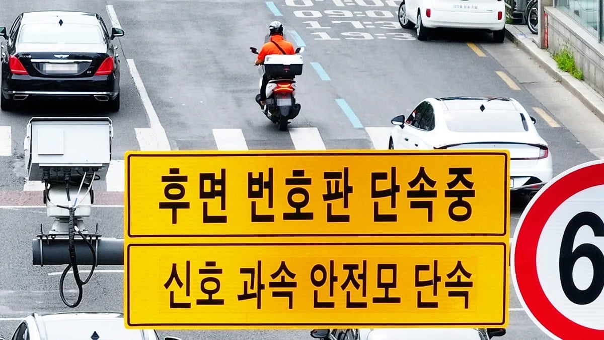 후면 단속카메라