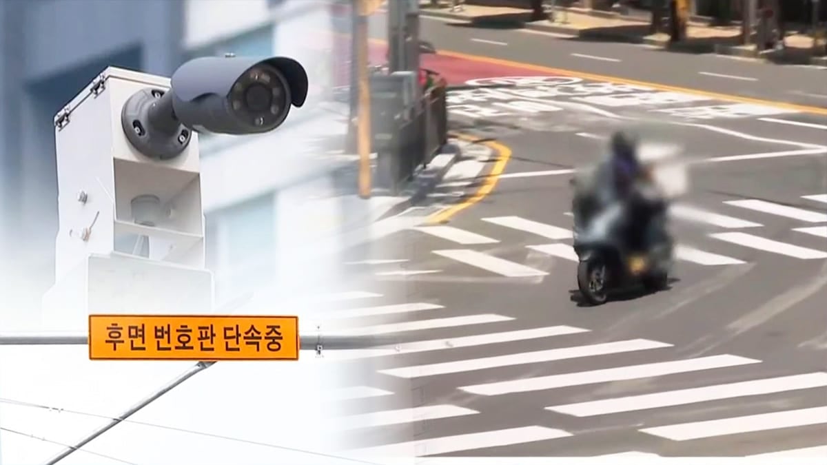 후면 단속 카메라 후면 단속 카메라